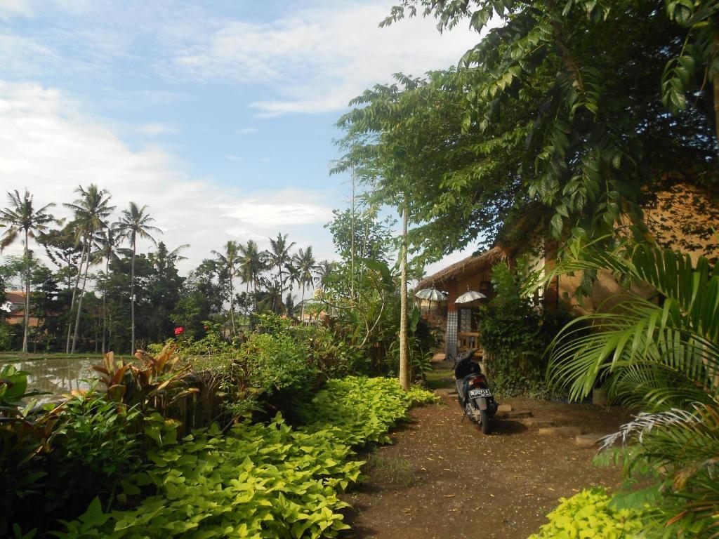 Jasmine Ubud